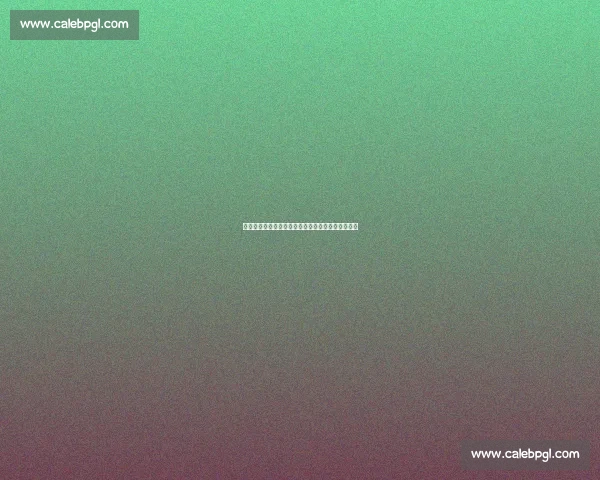 湖人百亿新主首考:詹姆斯补强与盈利平衡的生死局