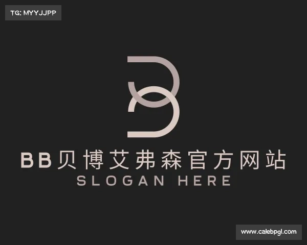 介绍BB贝博艾弗森官方网站