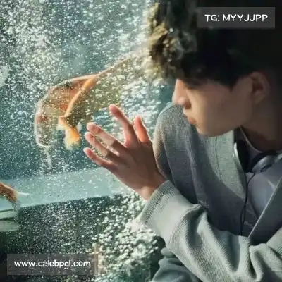 邓伊