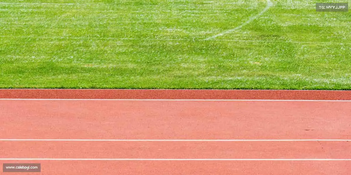 行业领先的理由